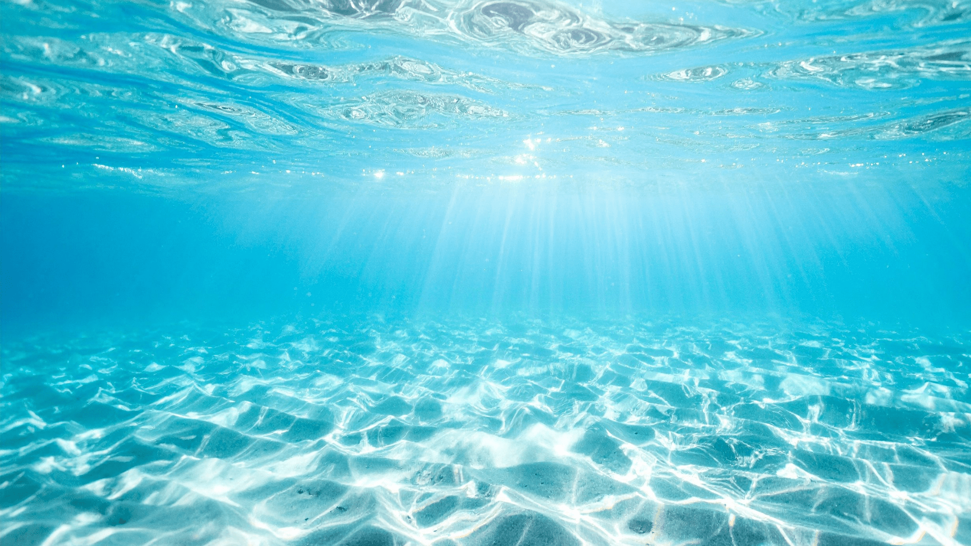 Sfondo Società Trasparente